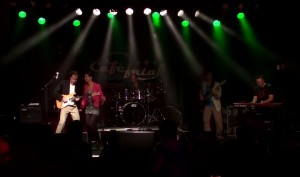 Partyband "Wild Flamingo"